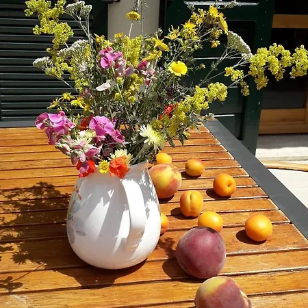 Per I Castelli A Lucignano Apartment *